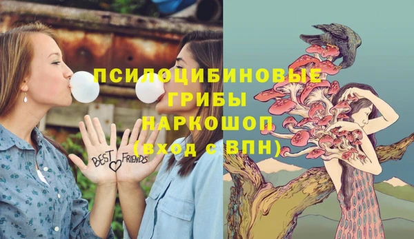 прущие грибы Покачи