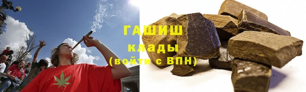 прущие грибы Покачи