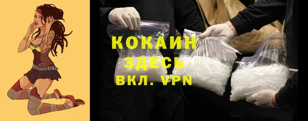 прущие грибы Покачи