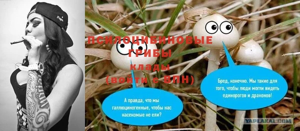 дурь Покровск