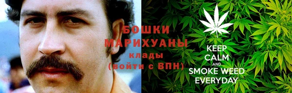 прущие грибы Покачи