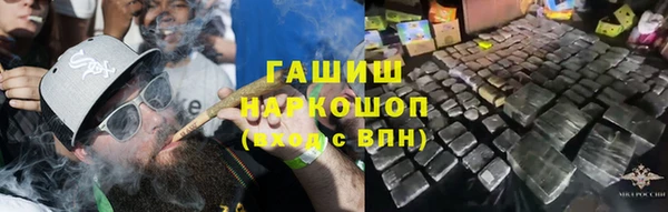 прущие грибы Покачи