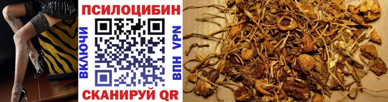 Псилоцибиновые грибы мухоморы  Купить  Ковылкино 